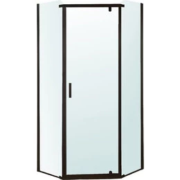 Душевое ограждение Berges Wasserhaus Solo T Black 100x100 см 061110, черный/прозрачное - фото 
