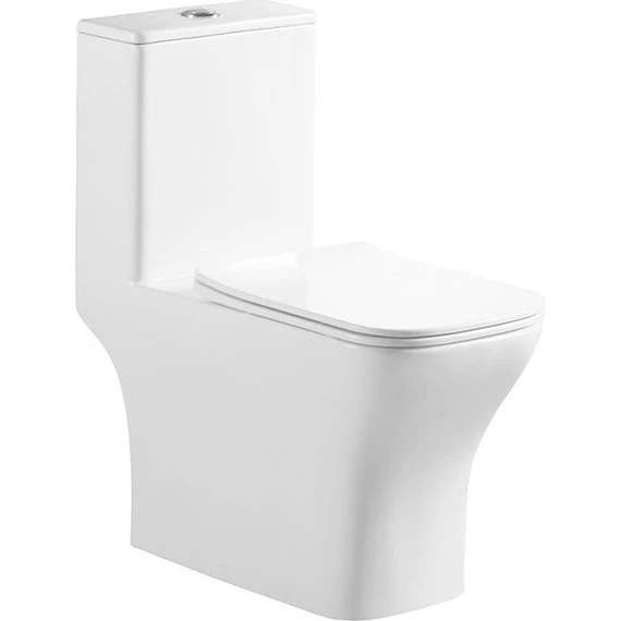 Унитаз-моноблок BelBagno Neon BB8617CPR-MN/SC с крышкой микролифт - фото 