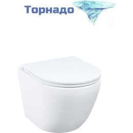 Унитаз подвесной безободковый Iddis Blanco Q BLQNDSEI25 с крышкой дюропласт (система смыва Торнадо) - фото 