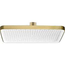 Верхний душ Raglo 350x200 мм R451.52.03, сатин золотой - фото 