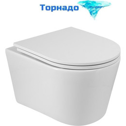 Унитаз подвесной безободковый Cezares Liner-Tor CZR-38083-49-TH-TOR/SC с крышкой микролифт (система смыва Торнадо) - фото 