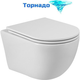 Унитаз подвесной безободковый Cezares Relax-Tor CZR-38088-49-TH-TOR/SC с крышкой микролифт (система смыва Торнадо) - фото 