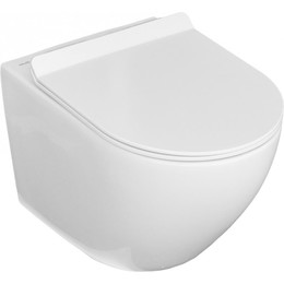 Унитаз подвесной безободковый Mirsant PANDORA Pro УТ000095129 с крышкой Soft-close - фото 