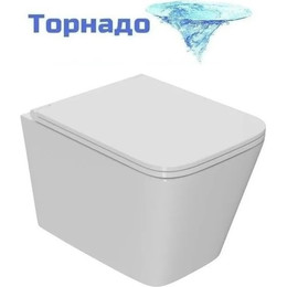 Унитаз подвесной безободковый Sintesi Balti SIN-TS-BLT-172 с крышкой микролифт (система смыва Торнадо) - фото 