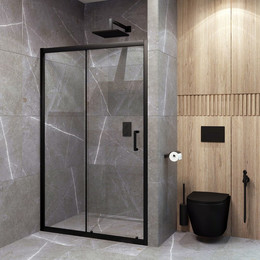 Душевая дверь EvaGold 110 см EG220021, чёрный/прозрачное - фото 