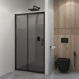 Душевая дверь EvaGold 120 см EG220055, чёрный/тонированное - фото 