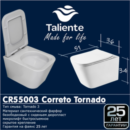 Унитаз подвесной безободковый Taliente Correto Tornado 3 CR55003 с крышкой микролифт (система смыва Торнадо) - фото 