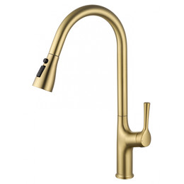 Смесители для кухни Wonzon & Woghand WW-AE54123-BG, золото - фото 