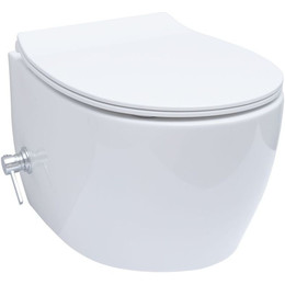 Унитаз-биде подвесной безободковый Allen Brau Fantasy 4.11HC1.20 с тонкой крышкой микролифт - фото 