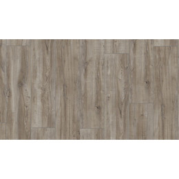 Ламинат Kronotex Exquisit Plus 244x1380 мм D 3662, дуб монтмело серебряный - фото 