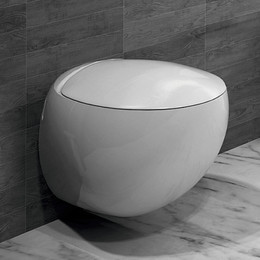 Унитаз подвесной Sanita Luxe Ringo WC.WH/Ringo/DM.Rim/WHT.G/S1 с крышкой микролифт - фото 