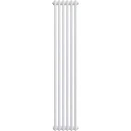 Вертикальный радиатор Zehnder Charleston 2180 300х1790 мм (6 секций) боковое подключение, белый - фото 