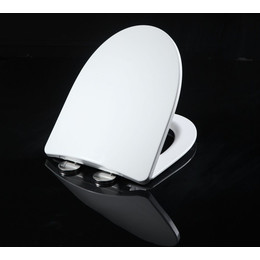 Сиденье с крышкой для унитаза Art&Max Pescara микролифт AM016SC - фото 