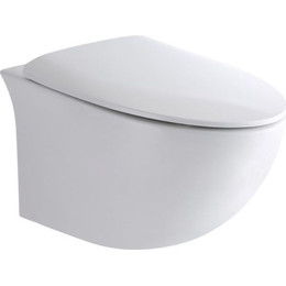 Унитаз подвесной CeramaLux Rimless 2297 с крышкой микролифт - фото 