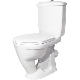 Унитаз-компакт Оскольская керамика Радуга тарельчатый Стандарт с полипропиленовой крышкой 41901130032 - фото 