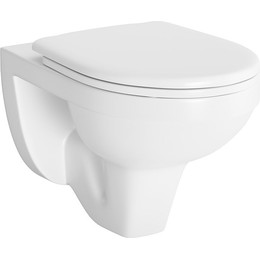 Унитаз подвесной Damixa Jupiter DX77C1738SC с крышкой микролифт - фото 