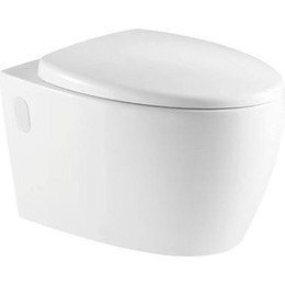 Унитаз подвесной безободковый Azario Deya AZ-2115 с крышкой микролифт - фото 