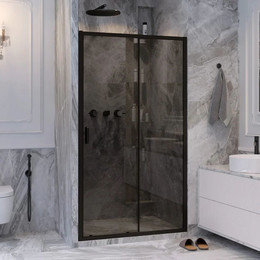 Душевая дверь Ambassador Forsa 100 см 17022216ABB, чёрный/тонированное - фото 