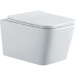 Унитаз подвесной безободковый Aquatek Либра AQ0530N-00 с тонкой крышкой микролифт - фото 