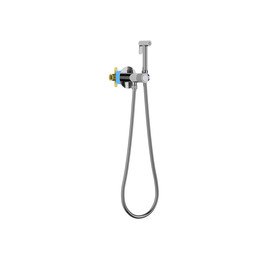 Набор для гигиенического душа Aquatek Бетта AQ1023CR (со скрытой частью) - фото 