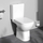 Унитаз-компакт безободковый Am.Pm Sunny 2.0 C85C8601SC с крышкой микролифт - фото, картинка Унитаз-компакт безободковый Am.Pm Sunny 2.0 C85C8601SC с крышкой микролифт - фото