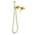 Набор для гигиенического душа Aquatek Европа AQ1319BG (со скрытой частью) золото шлифованное - фото 