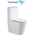 Унитаз-компакт безободковый Cerutti SPA Piera 10560 с тонкой крышкой микролифт (система смыва Торнадо) - фото 
