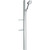 Душевой гарнитур Hansgrohe Raindance Select S 120 3jet 27646400, белый/хром - фото 