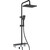 Душевая стойка с термостатом WasserKraft Thermo A11401, черный - фото 