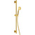 Душевой гарнитур Cezares ECO-SD-BORO, брашированное золото - фото 