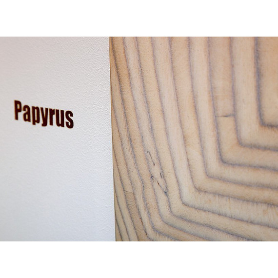 Зеркало Aqwella Clarberg Papyrus wood 100 см Pap-w.02.10/LIGHT, светлое дерево - фото 5