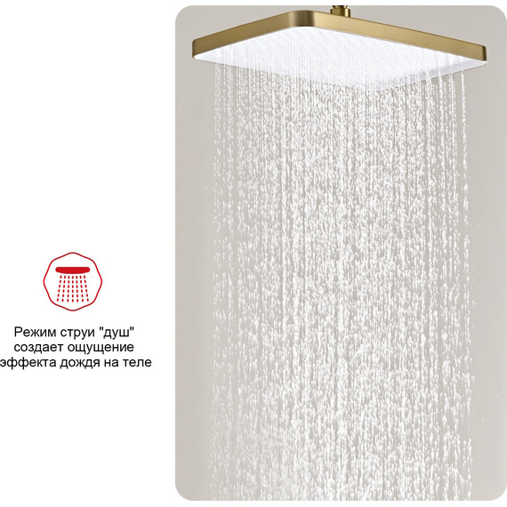Верхний душ Raglo 350x200 мм R451.52.03, сатин золотой - фото 5