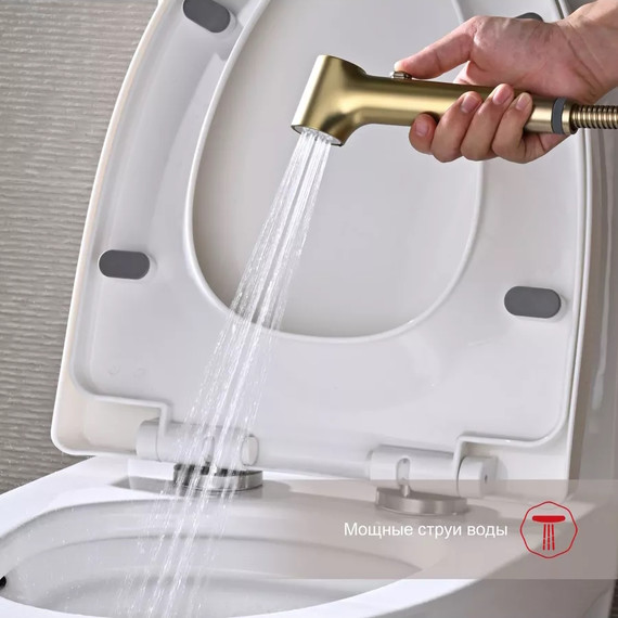 Набор для гигиенического душа Raglo R03.52.03 (со скрытой частью) сатин золотой - фото 5