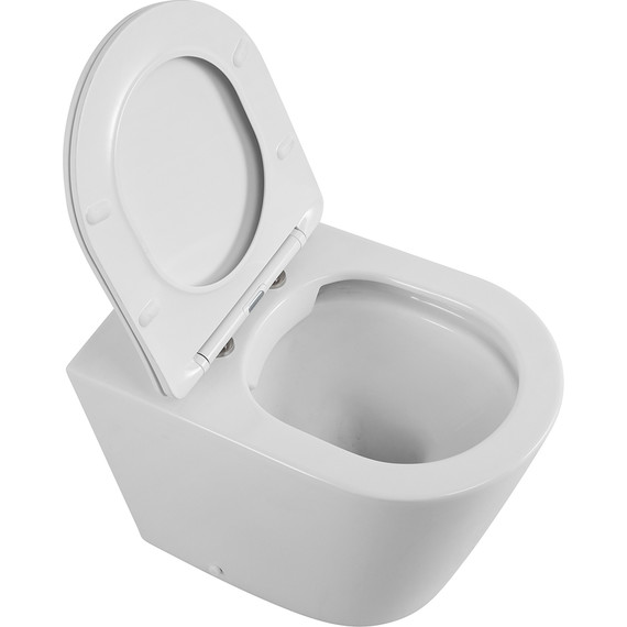 Унитаз приставной безободковый BelBagno Flay-R BB1003CBR/SC с крышкой микролифт - фото 3