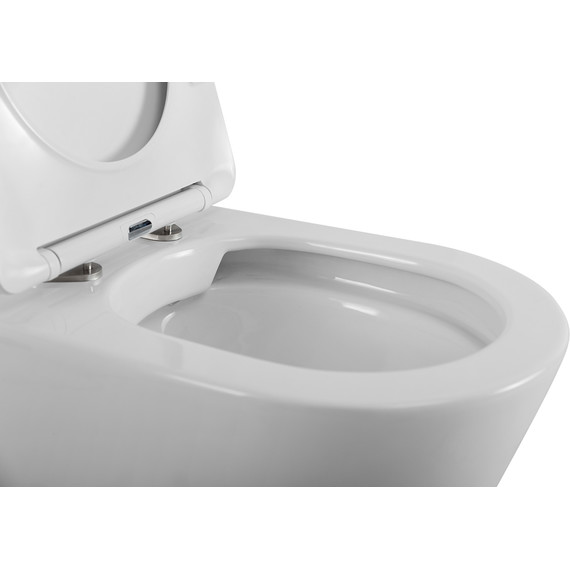 Унитаз приставной безободковый BelBagno Flay-R BB1003CBR/SC с крышкой микролифт - фото 8