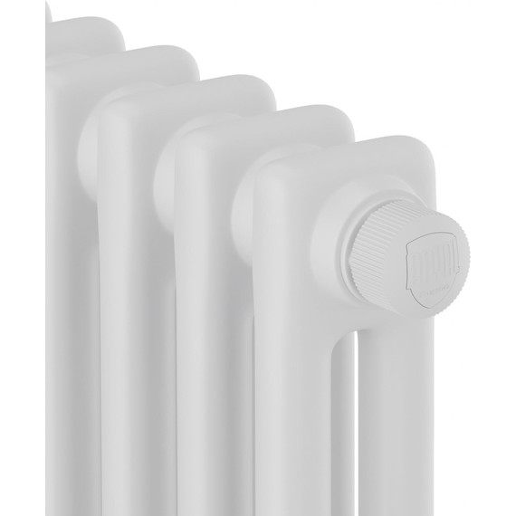 Вертикальный радиатор Royal Thermo Insignia VC2180 380x1800 мм (8 секций) белый - фото 3