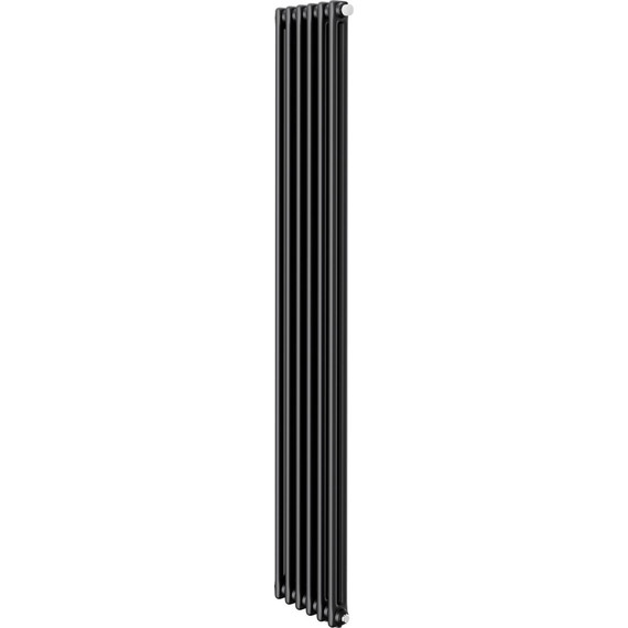 Вертикальный радиатор Royal Thermo Insignia VC2180 290x1800 мм (6 секций) чёрный - фото 