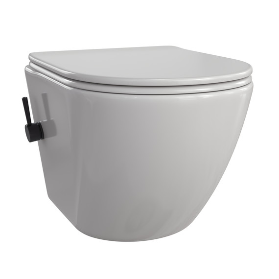 Унитаз-биде подвесной Taliente Amato AM25010 SMnero с крышкой микролифт - фото 2