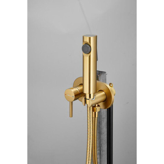 Набор для гигиенического душа Belz B55807-5 (со скрытой частью) золото матовое - фото 6