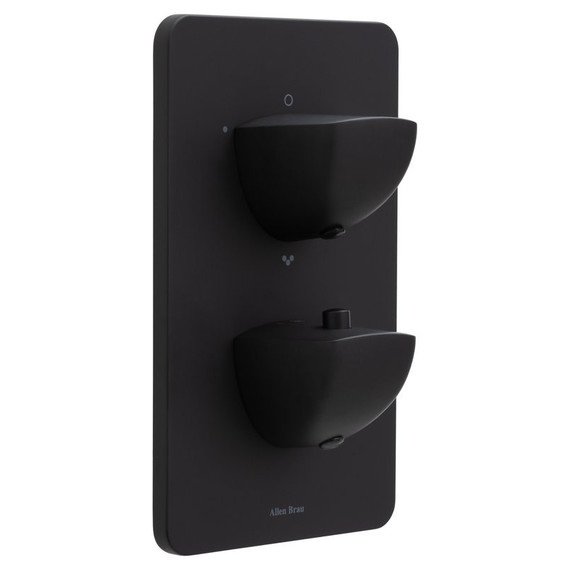 Смеситель для ванны с термостатом Allen Brau Infinity 5.21316-31 (со скрытой частью) чёрный матовый - фото 
