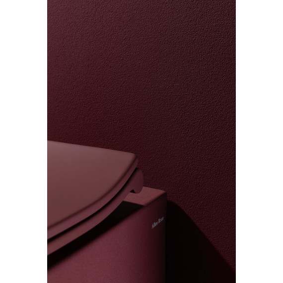 Унитаз приставной безободковый Allen Brau Fantasy 4.11004.BD с тонкой крышкой микролифт, бордо - фото 15