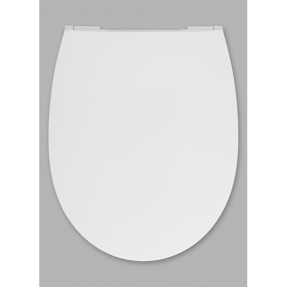Сиденье с крышкой для унитаза Roca Leon микролифт ZRU9302943 - фото 3