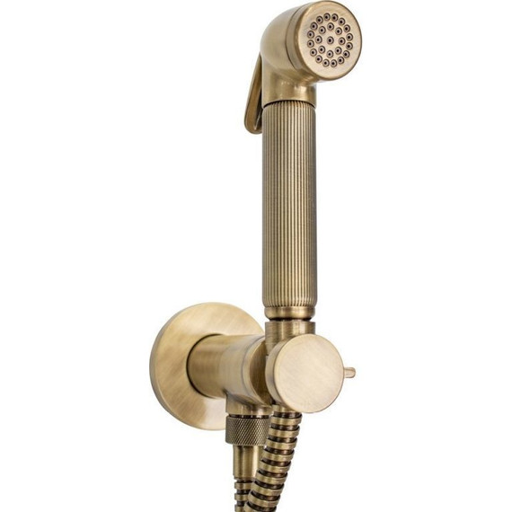 Набор для гигиенического душа Bossini Nikita E37008B.022 (с прогрессивным картриджем​) бронза - фото 