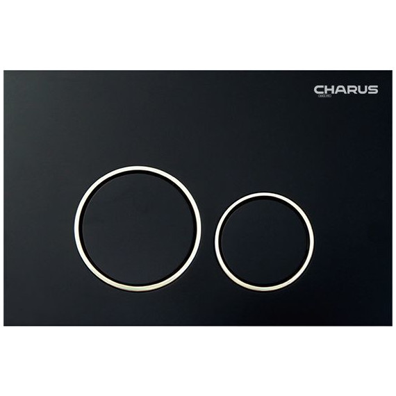 Кнопка смыва Charus Spazio FP.330.DW.01, чёрный свет - фото 
