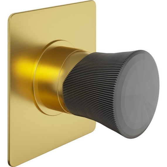 Смеситель для душа Paini Domus 18PJ690PZ, матовое золото - фото 