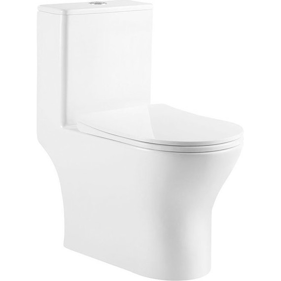 Унитаз-моноблок BelBagno Lounge BB8618CPR-MN/SC с крышкой микролифт - фото 